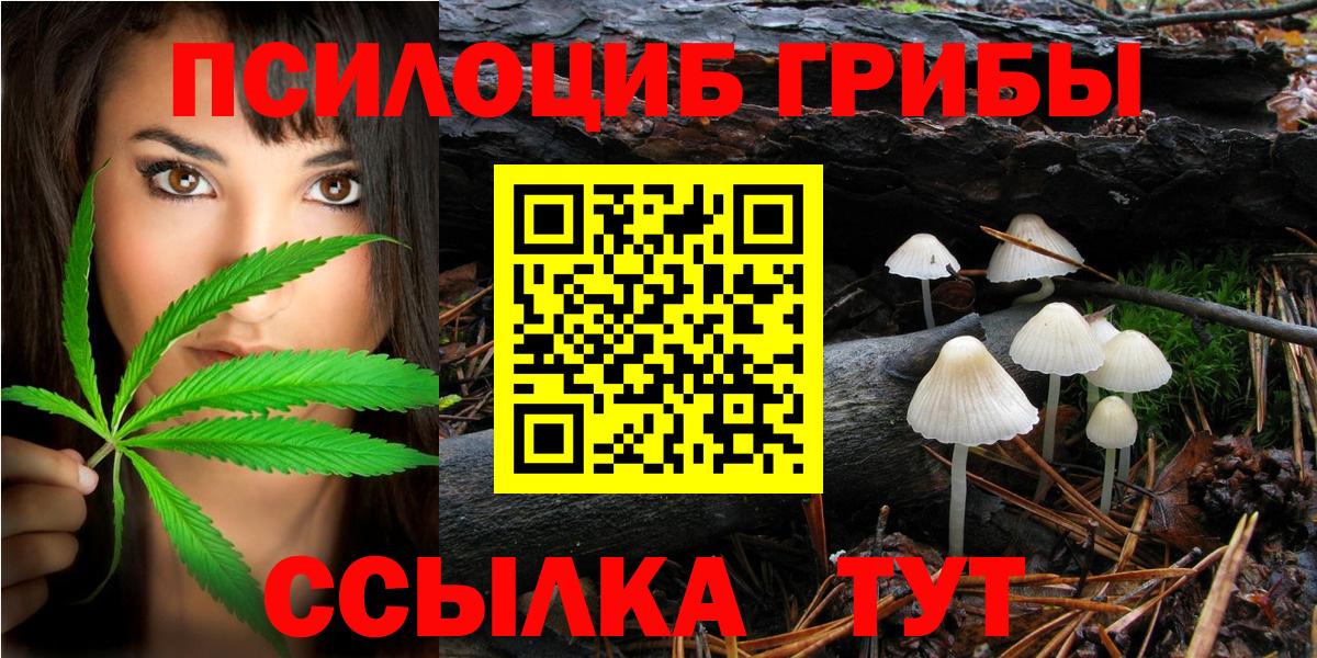 Псилоцибиновые грибы Psilocybine cubensis Шарыпово